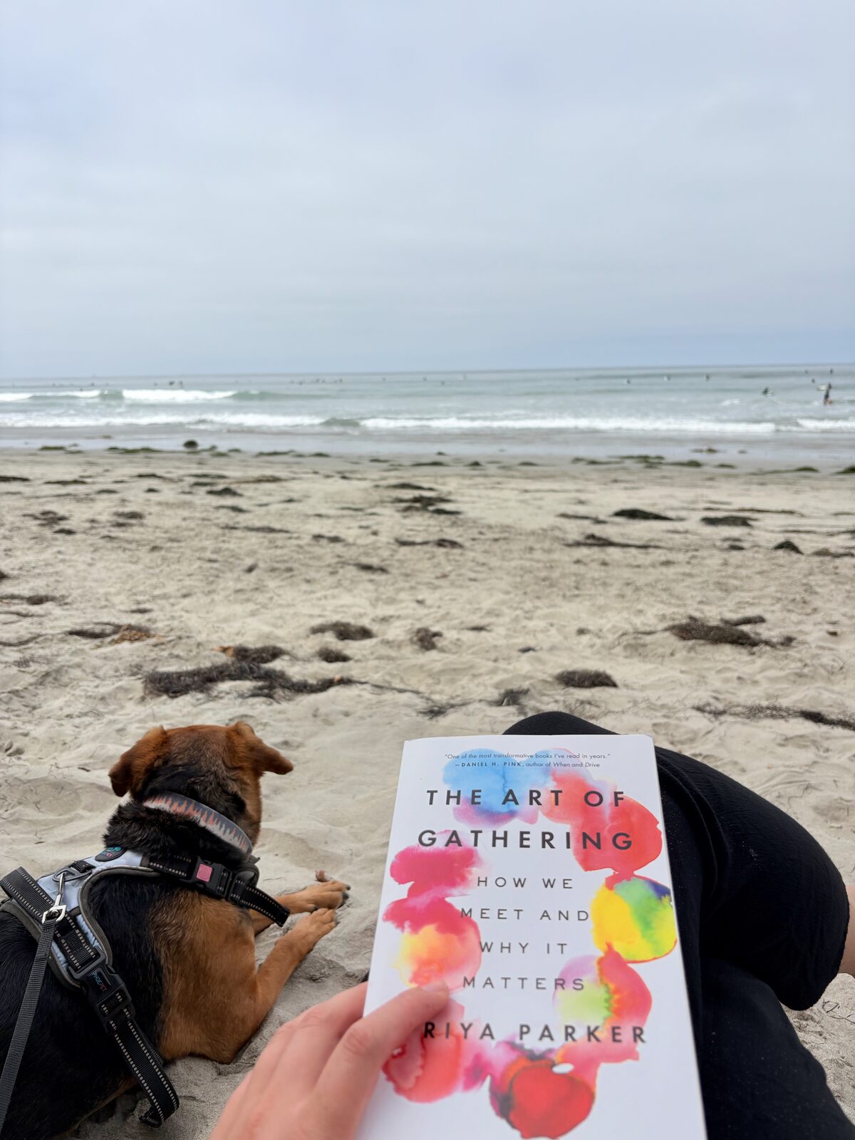 Reading on the beach with Luna